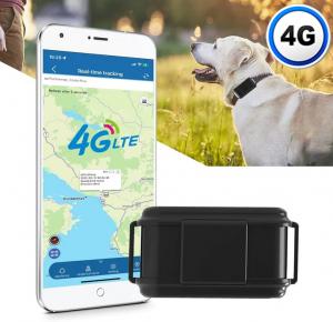 TK919-4G WINNES  TKSTAR  4G GPS Tracker for Hunting Dogs