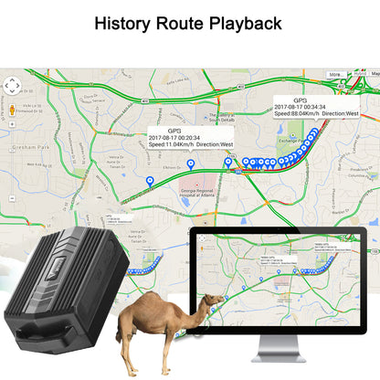 WINNES 4GTK935 GPS tracker for cattle sheep and camels Hound Tracking Device Real Time Locator Collar For Farm