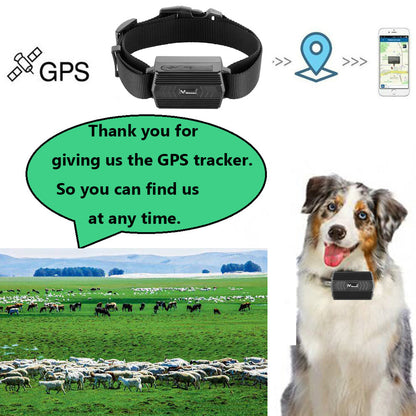 WINNES 4GTK935 GPS tracker for cattle sheep and camels Hound Tracking Device Real Time Locator Collar For Farm