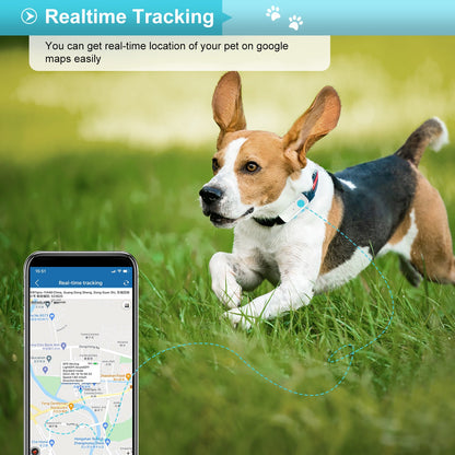 WINNES TK911pro 4G Dog GPS Tracker 700mah IP65 Waterproof Free APP real-time positioning with Sound/light for Find device function Data statistics and Electronic Geofencing