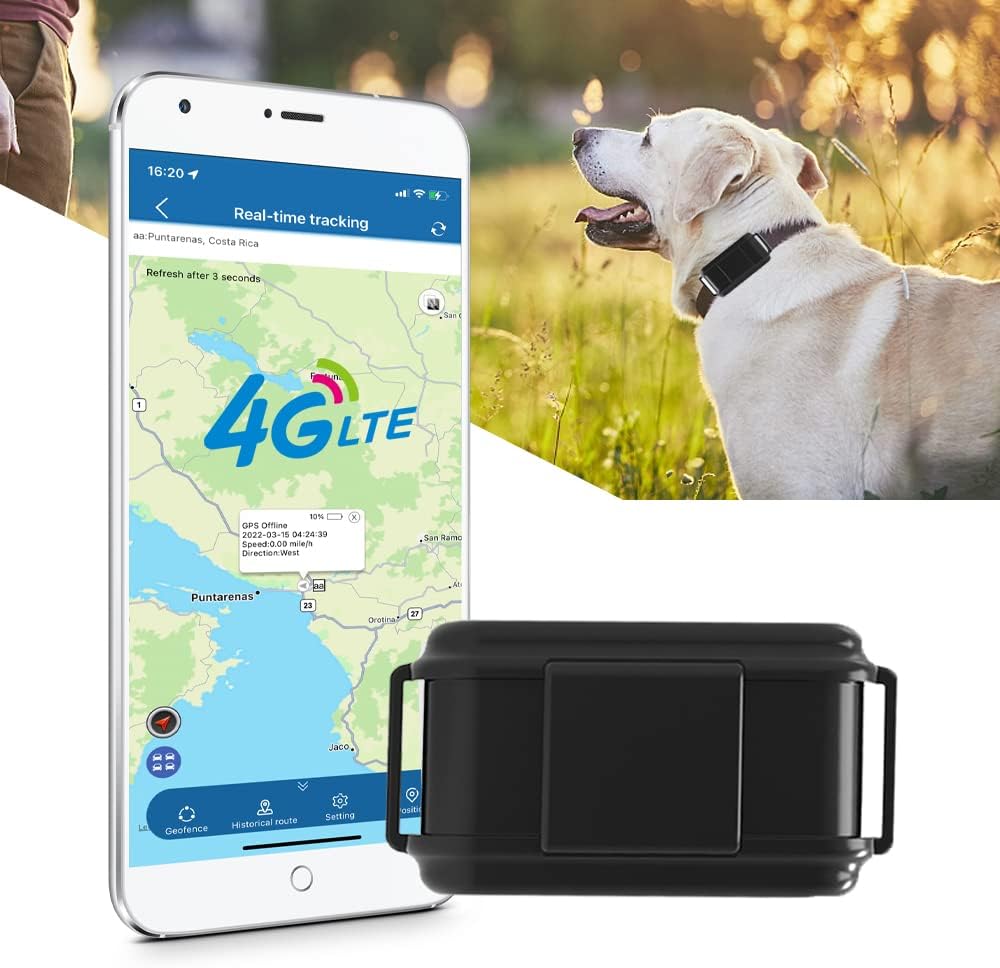 Rastreador GPS 4G WINNES para perros de caza | Monitoreo de actividad y sueño