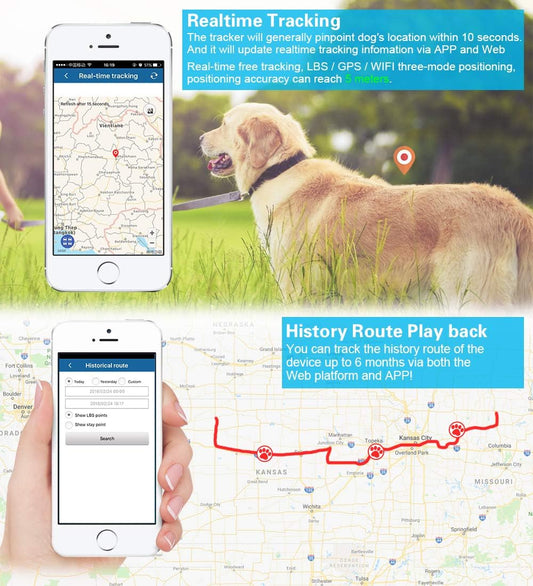 WINNES 4G GPS-Tracker für Jagdhunde | Aktivitäts- und Schlaf-Monitoring