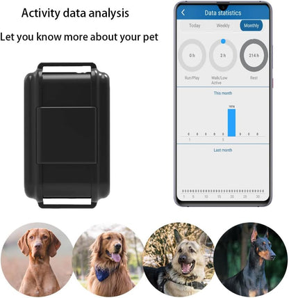 Rastreador GPS 4G WINNES para perros de caza | Monitoreo de actividad y sueño