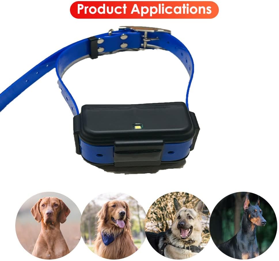 Rastreador GPS 4G WINNES para perros de caza | Monitoreo de actividad y sueño